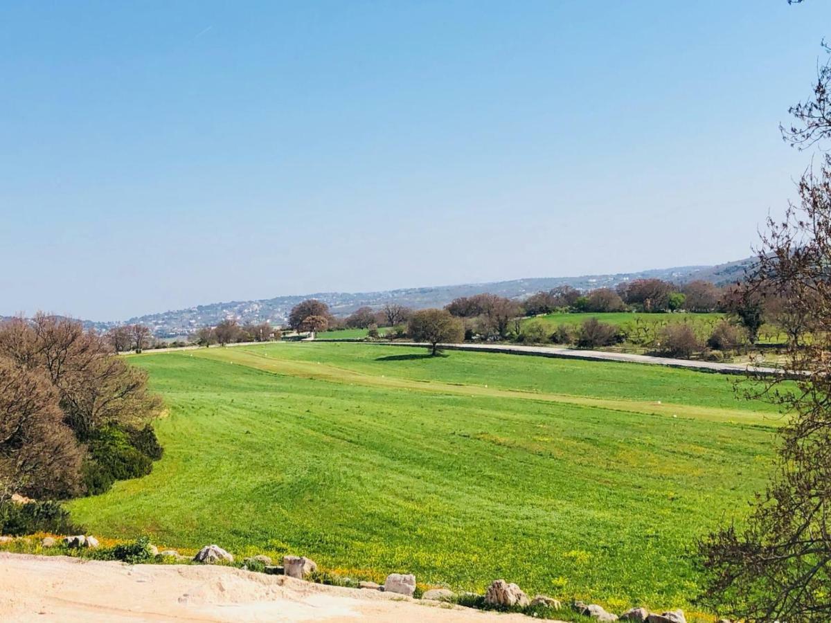 Masseria Paretano Βίλα Αλμπερομπέλο Εξωτερικό φωτογραφία